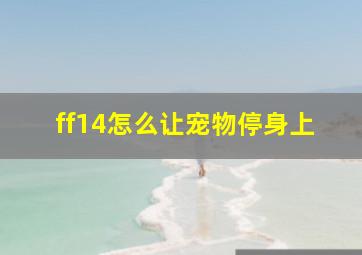 ff14怎么让宠物停身上