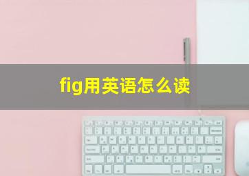 fig用英语怎么读