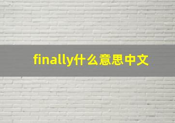 finally什么意思中文