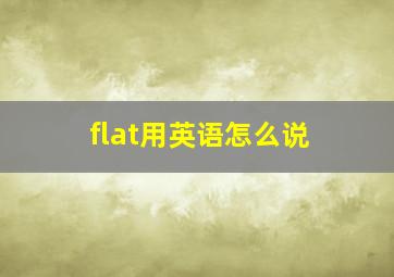 flat用英语怎么说