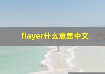 flayer什么意思中文