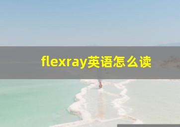 flexray英语怎么读