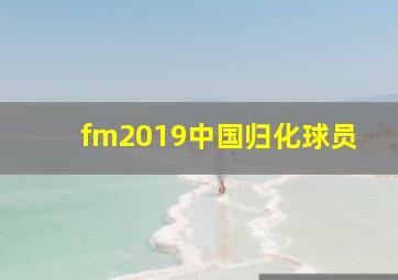 fm2019中国归化球员