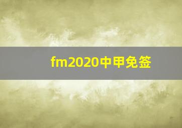 fm2020中甲免签