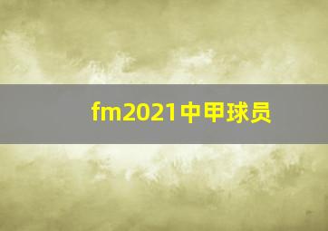 fm2021中甲球员