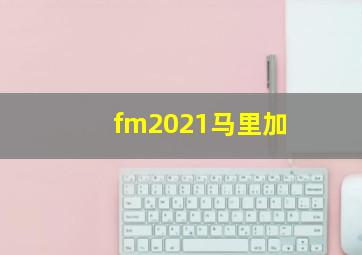 fm2021马里加