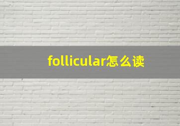 follicular怎么读