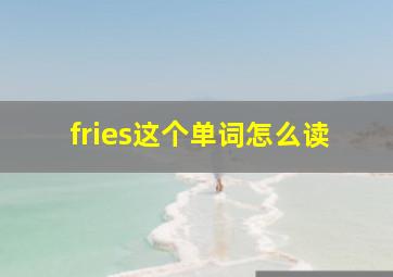 fries这个单词怎么读