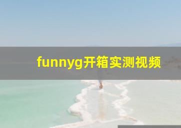 funnyg开箱实测视频