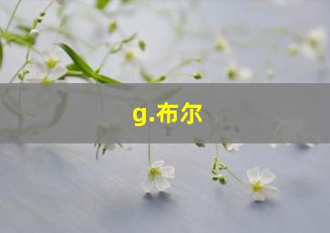 g.布尔