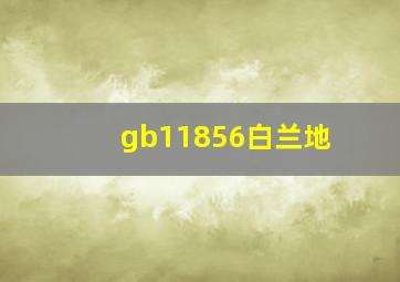 gb11856白兰地