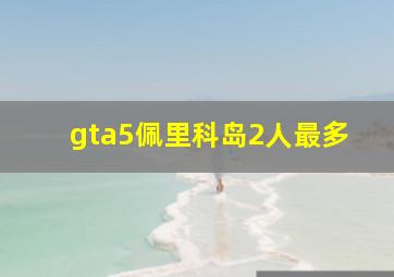 gta5佩里科岛2人最多