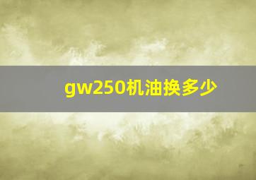 gw250机油换多少