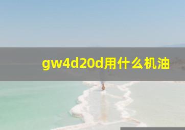 gw4d20d用什么机油