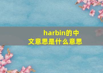 harbin的中文意思是什么意思