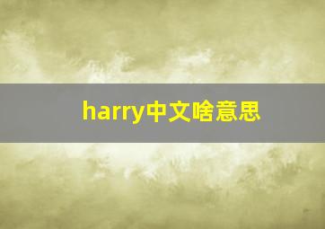 harry中文啥意思