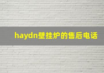 haydn壁挂炉的售后电话