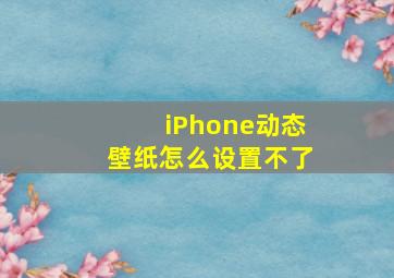 iPhone动态壁纸怎么设置不了