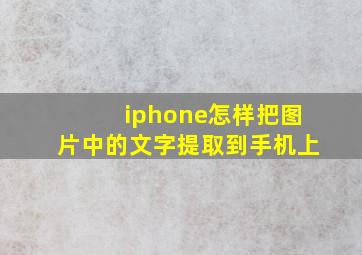 iphone怎样把图片中的文字提取到手机上