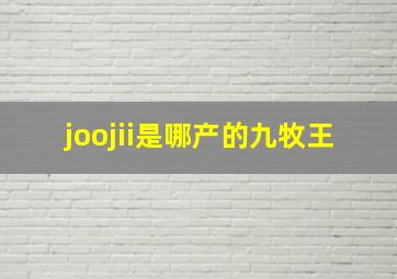 joojii是哪产的九牧王