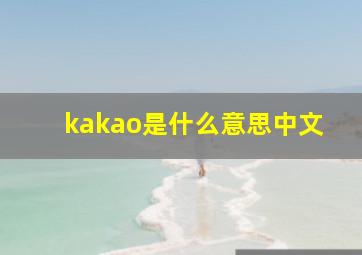 kakao是什么意思中文