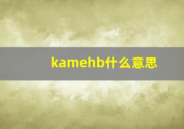 kamehb什么意思