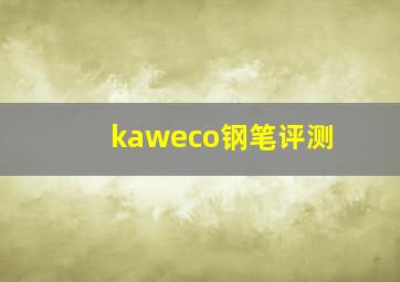 kaweco钢笔评测