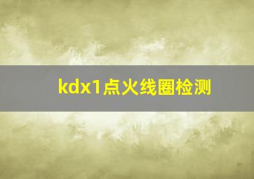 kdx1点火线圈检测