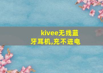 kivee无线蓝牙耳机,充不进电