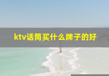 ktv话筒买什么牌子的好