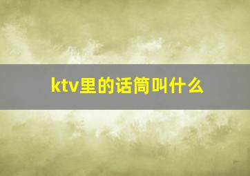 ktv里的话筒叫什么