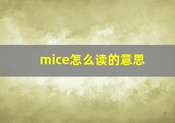 mice怎么读的意思