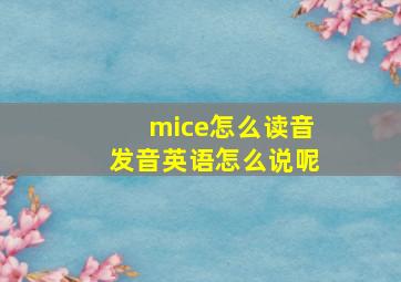 mice怎么读音发音英语怎么说呢