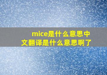 mice是什么意思中文翻译是什么意思啊了