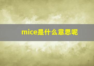 mice是什么意思呢