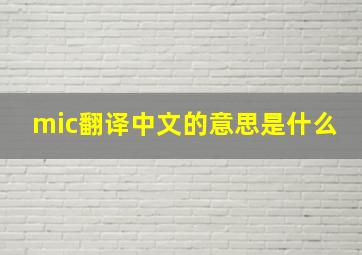 mic翻译中文的意思是什么