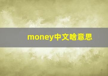 money中文啥意思