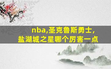 nba,圣克鲁斯勇士,盐湖城之星哪个厉害一点