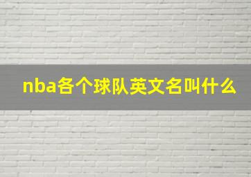 nba各个球队英文名叫什么