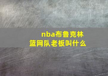 nba布鲁克林篮网队老板叫什么