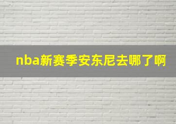 nba新赛季安东尼去哪了啊