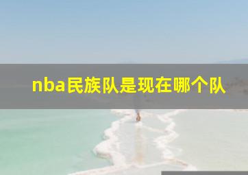 nba民族队是现在哪个队