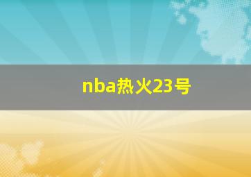 nba热火23号