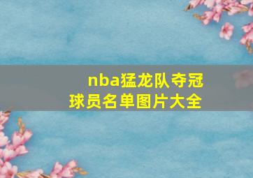 nba猛龙队夺冠球员名单图片大全