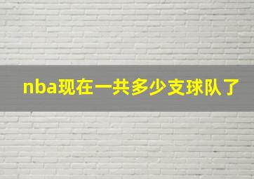 nba现在一共多少支球队了