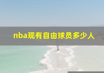 nba现有自由球员多少人