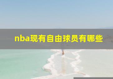 nba现有自由球员有哪些