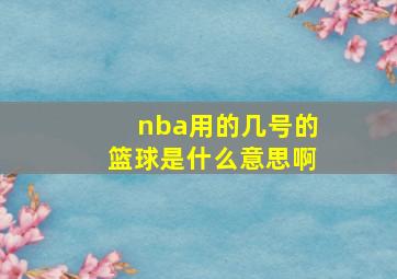 nba用的几号的篮球是什么意思啊