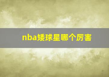 nba矮球星哪个厉害