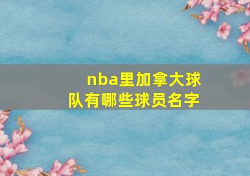 nba里加拿大球队有哪些球员名字